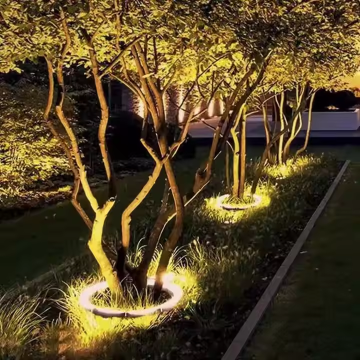 Élégant arbre extérieur mettant en lumière les projecteurs