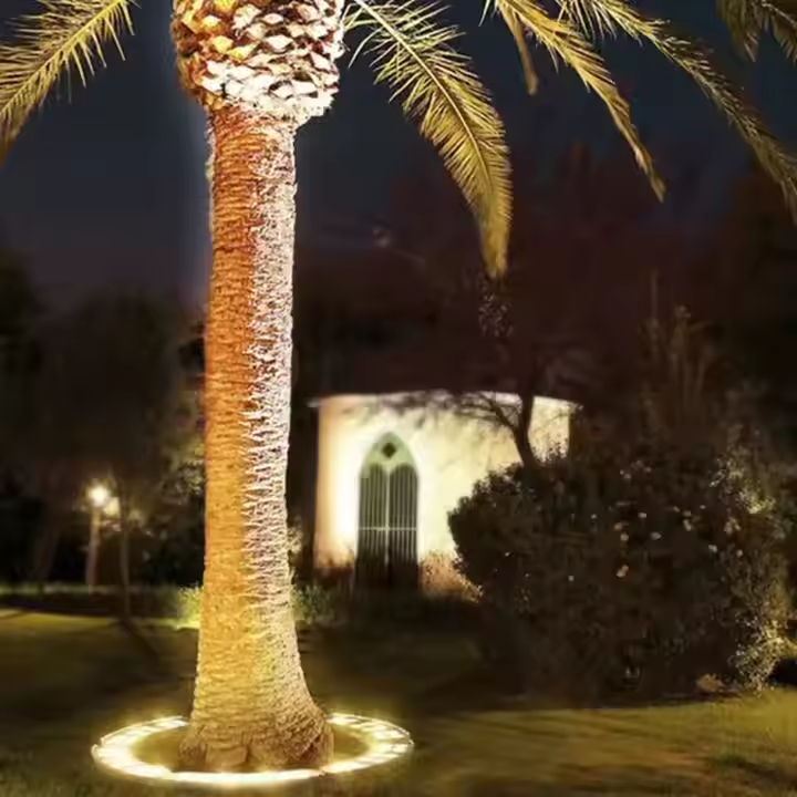 Élégant arbre extérieur mettant en lumière les projecteurs