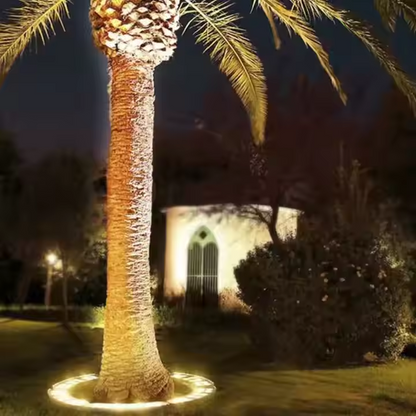 Élégant arbre extérieur mettant en lumière les projecteurs