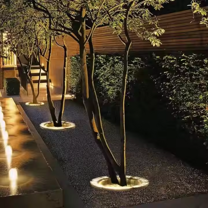 Élégant arbre extérieur mettant en lumière les projecteurs