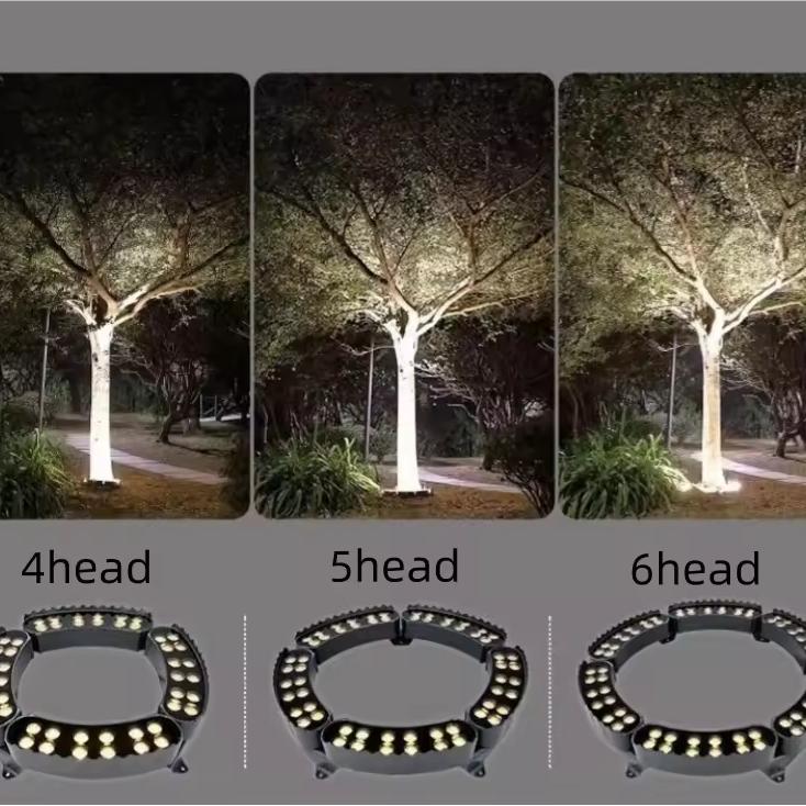 Élégant arbre extérieur mettant en lumière les projecteurs